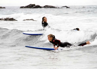  Escuela de surf Morbihan 